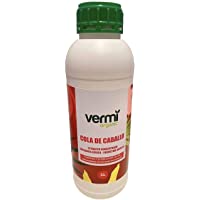 VERMIORGANIC Fungicida Bioestimulante Cola de Caballo Ecológico- 1L. Preventivo y curativo de Las Enfermedades fúngicas.